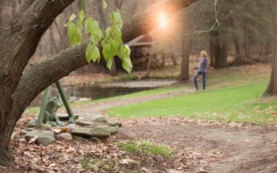 Best Half Day (IOP) Treatment Programs in MA