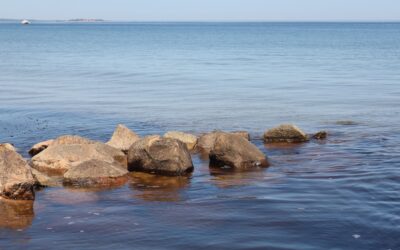 Mental Health & Addiction Treatment Near Rockland, MA